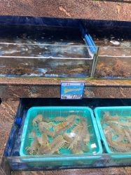 -胜利乐园(胜利购物广场店)