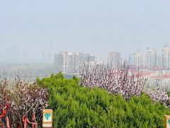 -南翠屏公园