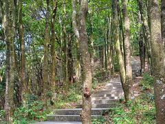 -梧桐山风景名胜区