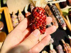 -辛庄国际文化艺术区
