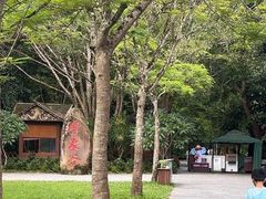 -野象谷景区
