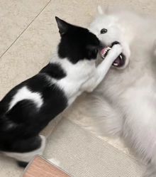 -baby bella小贝拉母婴护理中心(北京东隅店)