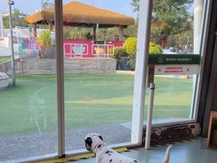 -爪吧宠物乐园 (温榆河示范区店)