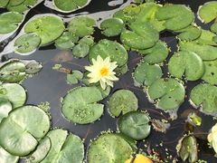 -石塘人家