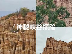 -元谋土林景区(物茂土林)