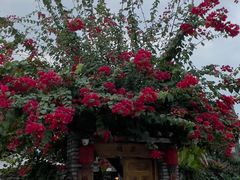 -三亚西岛海洋文化旅游区