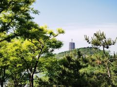 -永定河休闲森林公园