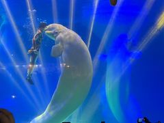 -海合安武汉极地海洋公园