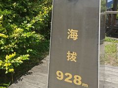 -江南天池