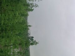 -白鹭湾湿地公园