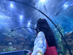 -南昌海洋公园