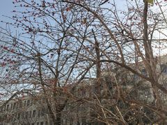 -北京国家会计学院