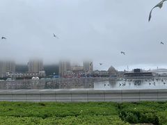 -星海广场