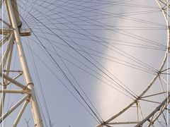-上海野生动物园