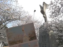 -武汉大学-樱园