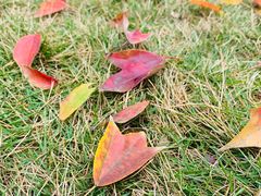 -杭州城北体育公园