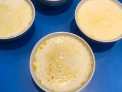 -德禄酸奶(莫家街店)