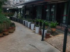 -山菌美食苑(振兴路店)