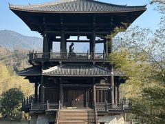 -大唐贡茶院