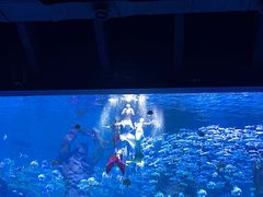 -波塞冬旅游度假区