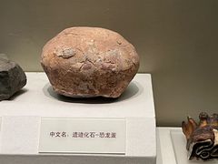 -天津自然博物馆
