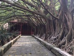 -南沙天后宫景区
