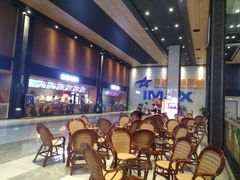 -齐纳激光IMAX影城(张店银座店)