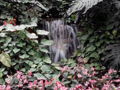 -郑州植物园