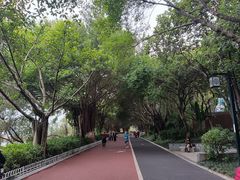 -南宁南湖公园