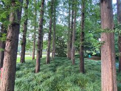 -虹迎轩·中餐厅(虹桥迎宾馆店)