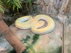 -上海大自然野生昆虫馆