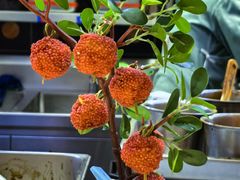 -长安大牌档之龙头酒肆(荣民龙首广场店)
