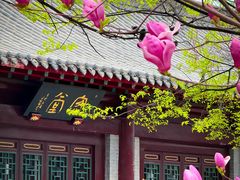-护国法轮寺