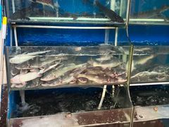 -滇香肴·云南菜蒸汽石锅鱼(云南北路店)