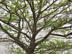 -艾溪湖湿地公园