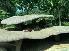 -北京野生动物园