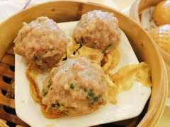 陈皮手工牛肉丸-鹏天阁酒楼·海鲜(红旗店)