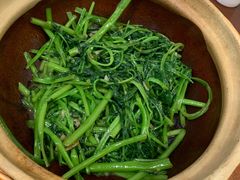 -熠盛粤味·顺德桑拿鸡(永康路店)