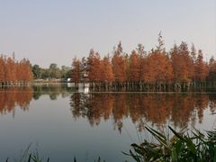 -白鹭湾湿地公园