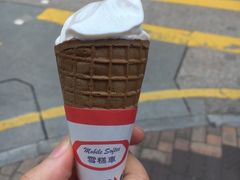 -富豪雪糕车流动点(尖沙咀店)