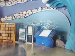-烟台海昌鲸鲨海洋公园
