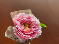 -洛阳市隋唐城遗址植物园