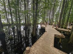 -东湖落雁景区