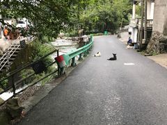 -山沟沟景区