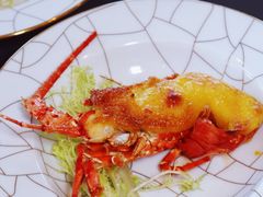 -北京柏悦酒店·锦庭餐厅Dining Room