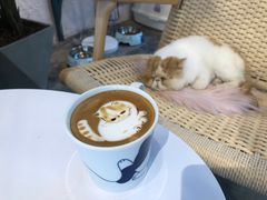 -喵屿·大理花园猫咖