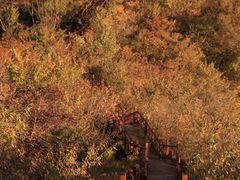 -大岭沟猕猴桃谷风景区