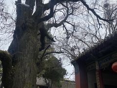 -南阳卧龙岗武侯祠