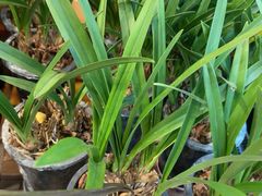 -元初食品(幸福e家小区店)