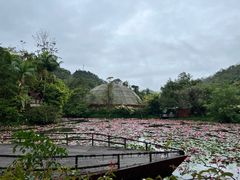 -野象谷景区